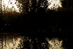 Etang-Vitre
